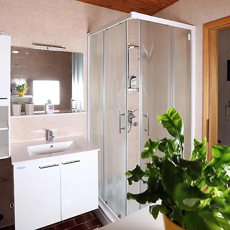 Appartamento Apartma Dolinar *